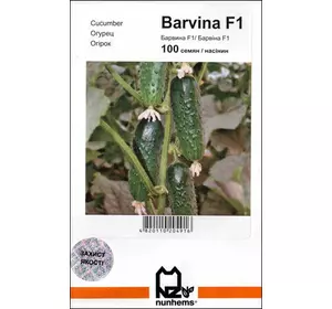 БАРВІНА F1 / BARVINA F1, 100 насіння — огірок партенокарпічний, Nunhems