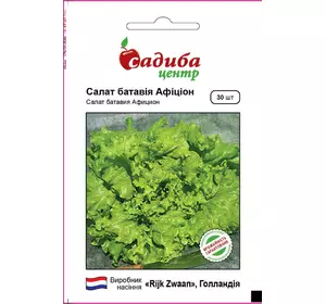 Насіння салату Афицион (Rijk Zwaan ) 30 шт — світло-зелений, тип Батавія