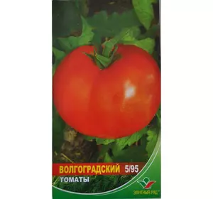Насіння томату Волгоградський 5/59, 1 г — пізньостиглий, Елітний ряд