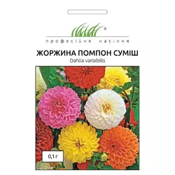 Насіння квітів Жоржина махрова Помпон суміш F1, 0,1 г, дійсний до 11.2023 УЦІНКА
