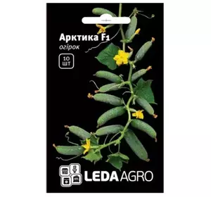 АРКТИКА F1 / АРЕНА F1 насіння огірка, 10 насіння — партенокарпічний, ранній (36-40 днів) LEDAAGRO