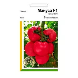 Манус F1/ Manusa F1 насіння томату, 5-сім'ян — індитермінантний, великоплідний, рожевий, ранній, Rijk Zwaan