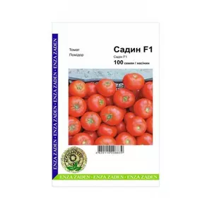 Насіння томату Полбиг F1, 100 сем — ранній (62-65 дня), червоний, детермінантний, круглий, Bejo