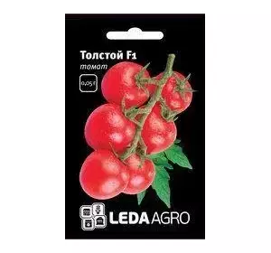 Насіння томата Толстой F1, 0,05 г — ранній (70-72 дні), червоний, індитермінантний, LEDAAGRO