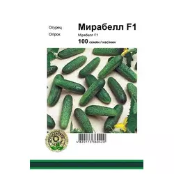 Мірабелла F1 насіння огірка, 100 насінин — партенокарпічний огірок, ранній, Seminis