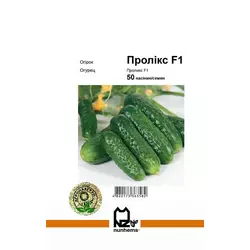 Пролікс F1 насіння огірка, 50 насіння — огірок партенокарпічний, Nunhems