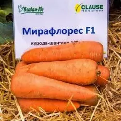 Насіння моркви Мірафлрес F1 фр.2,0-2,25, 100000 насіння — тип Шантане, (Clause)
