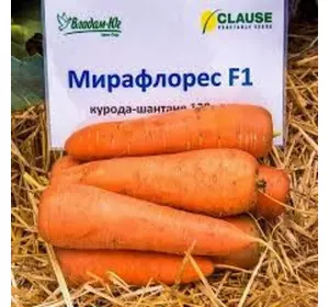 Насіння моркви Мірафлрес F1 фр.2,0-2,25, 100000 насіння — тип Шантане, (Clause)