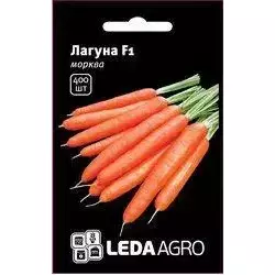 Лагуна F1 насіння моркви, 400 насіння - ультра-ранній (60-65 днів), тип Нантський, LEDAAGRO