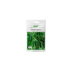 Кібрію F1 насіння огірки, 50 насіння — партенокарпічний, ранній, Rijk Zwaan