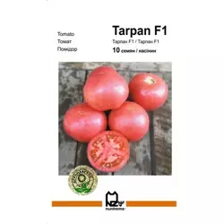 Тарпан F1 насіння томату, 10 насіння — томат рожевий детермінантний, Nunhems