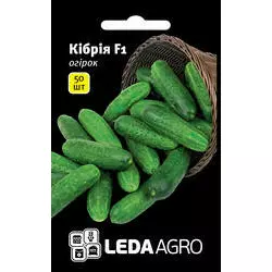 Кибрия F1 насіння огірки, 50 насінин — партенокарпічний, ранній, LEDAAGRO