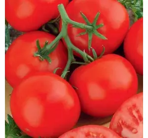 Насіння томату Аврора F1, 1 г — ранній (110-115 дн), Елітний ряд