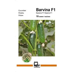 БАРВИНА F1 / BARVINA F1, 10 насінин — партенокарпічний огірок, Nunhems