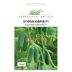 Кибрия F1 насіння огірки, 10 насінин — партенокарпічний, ранній, Rijk Zwaan