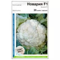 Насіння цвітної капусти Новарія, 20 насінин — середньо-рання (80 днів), Enza Zaden