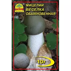 Міцелій гриба Веселка звичайна, 10 г