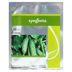 Насіння огірка Спинно F1 (Спино F1) (Syngenta), 500 насіння — ранній гібрид (41-43 дні), партенокарпік