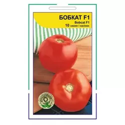 Бобкат F1 насіння томату, 10 насінин — ранній, детермінантний, SeedEra