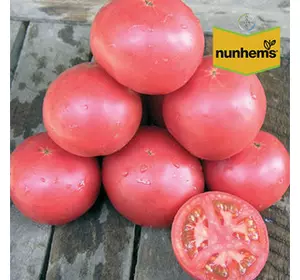 Насіння томату Тарпан F1, 1000 насіння — раннє (98-105 днів), РОСОВИЙ, детермінантний, круглий, Nunhems