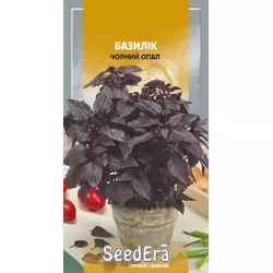 Насіння базиліка Чорний опал, 0,5 г — фіолетовий, салатний, SeedEra