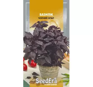 Насіння базиліка Чорний опал, 0,5 г — фіолетовий, салатний, SeedEra