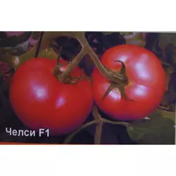 Насіння томату Челсі F1, 20 насінин — ранній (98-102 дн), рожевий, Елітний ряд