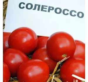 Насіння томату Солероссо F1, 50 насіння — ультрараній, червоний, детермінантний, круглий, Nunhems