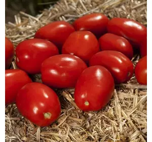 Насіння томату Деріка F1, 50 шт— детермінантний, сливовидний, Kitano Seeds, дійсний до 2024 року, УЦІНКА