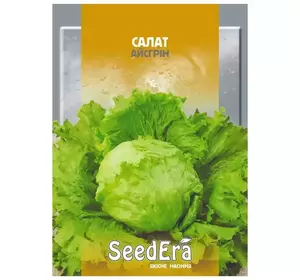 Насіння салату Айсгрін, 10 г — зелений, качанного типу, SeedEra