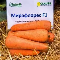 Насіння моркви Мірафлрес F1 фр.1,4-1,6, 100000 насіння — тип Шантане, (Clause)