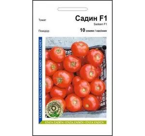 Насіння томату Садін F1, 10 насінин — томат червоний, детермінантний, Enza Zaden