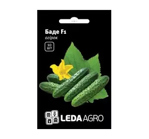 Насіння огірка Баде F1, 10 насінин — партенокарпічний огірок, Leda Agro