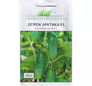 АРКТИКА F1 / АРЕНА F1 насіння огірка, 50 насіння — партенокарпічний, ранній (36-40 днів) NongWoo Bio