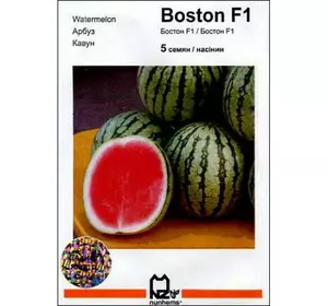 Бостон F1 кавун, 5 насінин — для вирощування у відкритому грунті