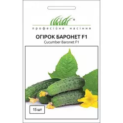 Насіння огірка Баронет F1, 10 насінин — партенокарпічний огірок, Nong Woo Bio