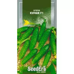 Насіння огірка Кураж F1, 10 насіння — огірок партенокарпічний, Syngenta