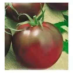 Насіння томату Будулай F1, 20 насінин — ранній (105-115 дн), Елітний ряд