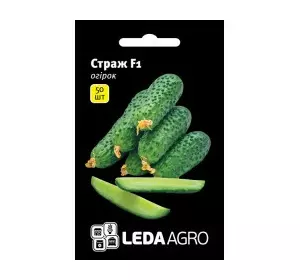 Насіння огірка Страж F1, 50 насінин — партенокарпічний огірок, Leda Agro