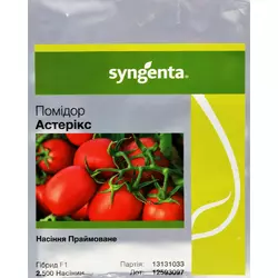 Насіння томату Асвон F1, 1000 насіння / Kitano Seeds — детермінантний, ранній.