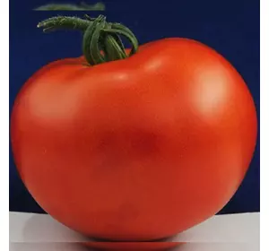 Насіння томату Верона F1, 20 насінин — ранній (95-98 дн), Елітний ряд
