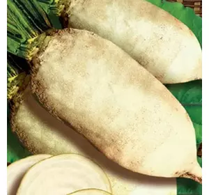 Буряк кормовий Центаур Полі, 20 кг Мішок — насіння кормової буряка білого. Польща