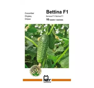 БЕТТИНА F1 / BETTINA F1, 10 насіння — огірок партенокарпічний, Nunhems
