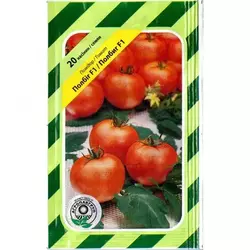 Насіння томату Полбиг F1, 20 нас — ранній (62-65 дня), червоний, детермінантний, круглий, Bejo