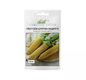 Насіння кукурудзи Акцент F1, насіння 20 — середньостиглий гібрид (73 дні), солодка, Syngenta
