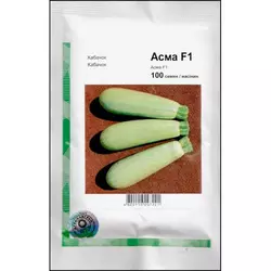 Насіння кабачка Асма F1, 100 насіння — ранній гібрид, світлий Clause