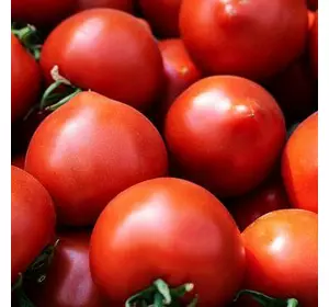 Меланет F1 насіння томата, 500 насіння — ранній гібрид, напівдетермінантний