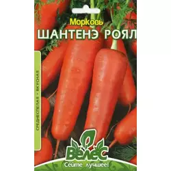 Насіння моркви Шантене роял, 3 г, дійсний до 01.23, УЦІНКА