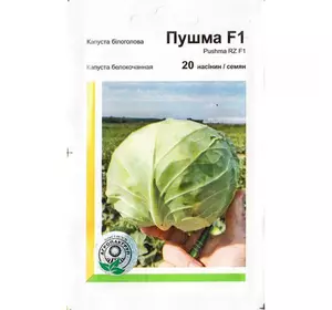 Пушма F1 насіння капусти, 20 насіння — білочана, раня (48-50 днів), Rijk Zwaan