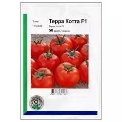 Семена томата Терра Котта F1,50 насінин — ранній (65-70 дн), плоско-округла, детермінантний